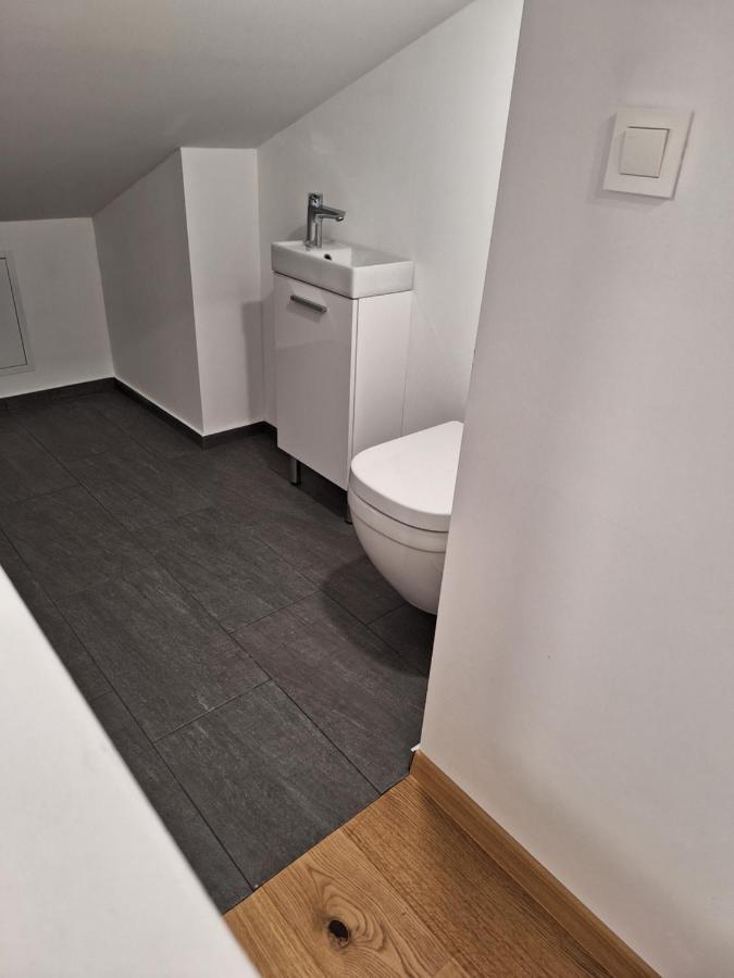 Guesthouse Flower Ljubljana Kültér fotó