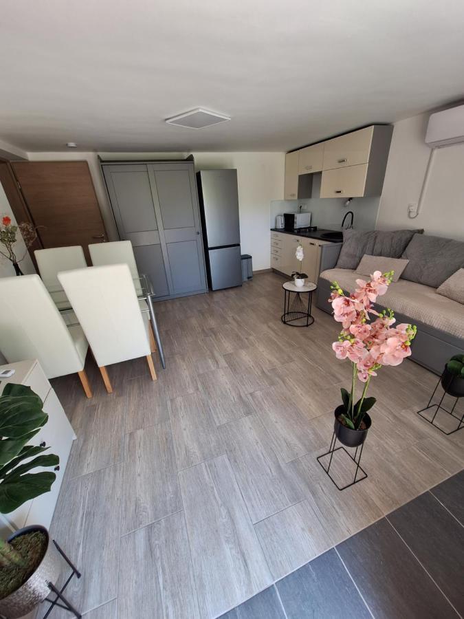 Guesthouse Flower Ljubljana Kültér fotó
